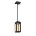 Eurofase Lighting Coop 4 Inch LED Mini Pendant - 35928-010