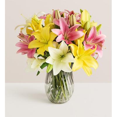 1-800-Flowers Flower Delivery Sweet Spring Lilies For Mother's Day Double Bouquet W/ Clear Vase