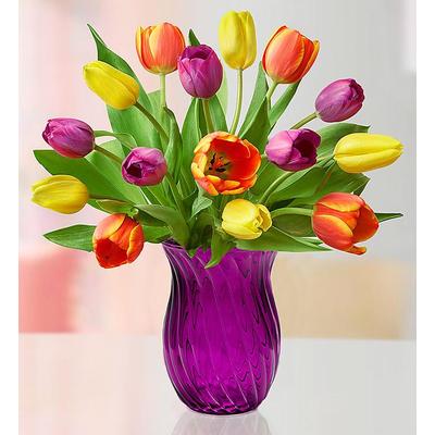 1-800-Flowers Seasonal Gift Delivery Mother's Day Radiant Tulips 15-30 Stems 15 Stems W/ Purple Vase