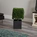 Charlton Home® Artificial Boxwood Plant in Planter Silk/Plastic | 27 H x 15 W x 15 D in | Wayfair C339B34F979345A2B87F8F7BDAF68C25