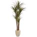 Bayou Breeze 68in. Giant Yucca Artificial Tree in Planter UV Resistant (Indoor/Outdoor) Earthenware/Silk/Plastic | 68 H x 27 W x 23 D in | Wayfair