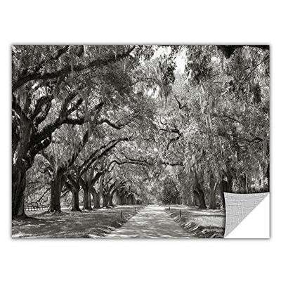ArtWall Steve Ainsworth 'Live Oak Avenue' Removable Graphic Wall Art, 16 by 24-Inch