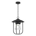 Hubbardton Forge Erlenmeyer 1 - Light Outdoor Pendant Glass in Black | 16.9 H x 12.1 W x 12.1 D in | Wayfair 356010-SKT-80-ZM0467