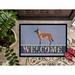 East Urban Home Malinois Belgian Shepherd 27 in. x 18 in. Non-Slip Outdoor Door Mat Synthetics | Rectangle 24" x 36" | Wayfair