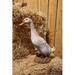 Hi-Line Gift Ltd. Duck Statue in White | 12.52 H x 4.53 W x 10.63 D in | Wayfair 87697-A