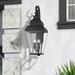 Lark Manor™ Anousha 4 - Bulb 37" H Outdoor Wall Lantern Brass/Glass/Metal in Black | 37 H x 13.75 W x 15.75 D in | Wayfair