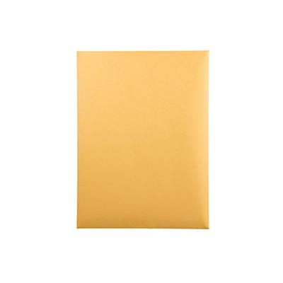 Quality Park Large Format/Catalog Envelopes, Gummed, Brown Kraft, 9.5 x 12.5, 250 per Box, (QUA41565