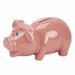 Zoomie Kids Ruvalcaba Pig Bank Metal in Pink | 5 H x 7 W x 5 D in | Wayfair 12035904DAD644AF8EAF2C4749E9A434