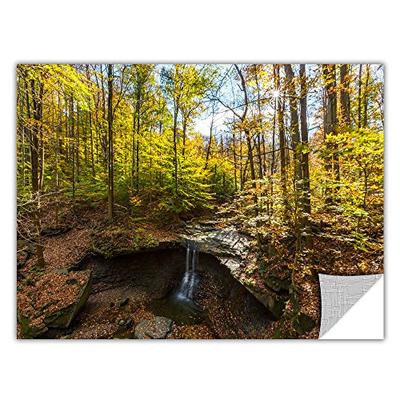 ArtWall 'Blue Hen Falls' Removable Wall Art by Cody York, 24 by 36-Inch