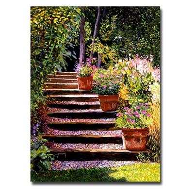 Pink Faisies Wooden Steps by David Lloyd Glover, 18x24-Inch Canvas Wall Art