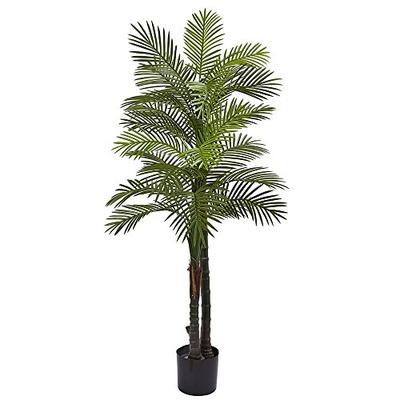 Nearly Natural 5479 5.5' Robellini Palm Tree (UV/Indoor/Outdoor)