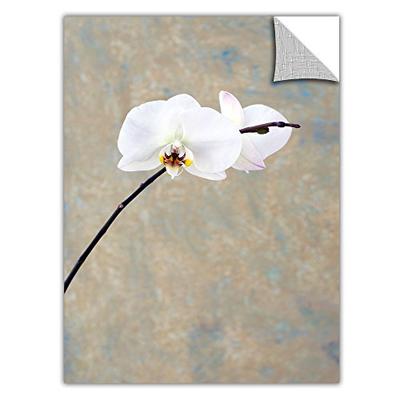 ArtWall ArtApeelz Elena Ray 'Orchid Blossom' Removable Wall Art Graphic 12 by 18-Inch