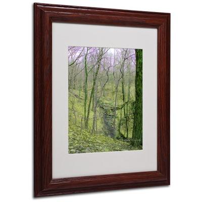 Surreal Woods by Kathie McCurdy Canvas Artwork in Wood Frame, 11 by 14-Inch