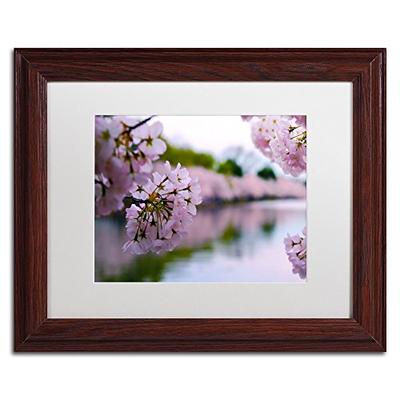 Cherry Blossoms 2014-2 White Matte Artwork by CATeyes, 11 by 14-Inch, Wood Frame