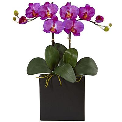 Nearly Natural Double Mini Phalaenopsis Silk Orchid in Black Vase