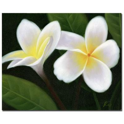 Hawaiian Lei Flowers by Master's Art, 35x47-Inch Canvas Wall Art
